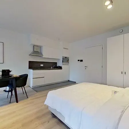 Demeure Metropolitain * لييج